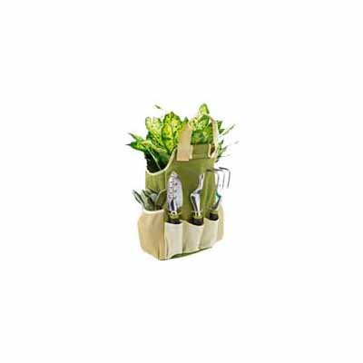 product6